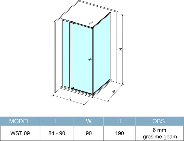 CABINA DUS GEAM FUMURIU 6MM 90X90CM