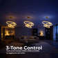 Lustra LED suspendata cu telecomanda ELIZABETH, 85W, 3 Cercuri, lumina Rece/Calda/Neutra, Dimabila, Auriu Lucios, Inaltime Reglabila