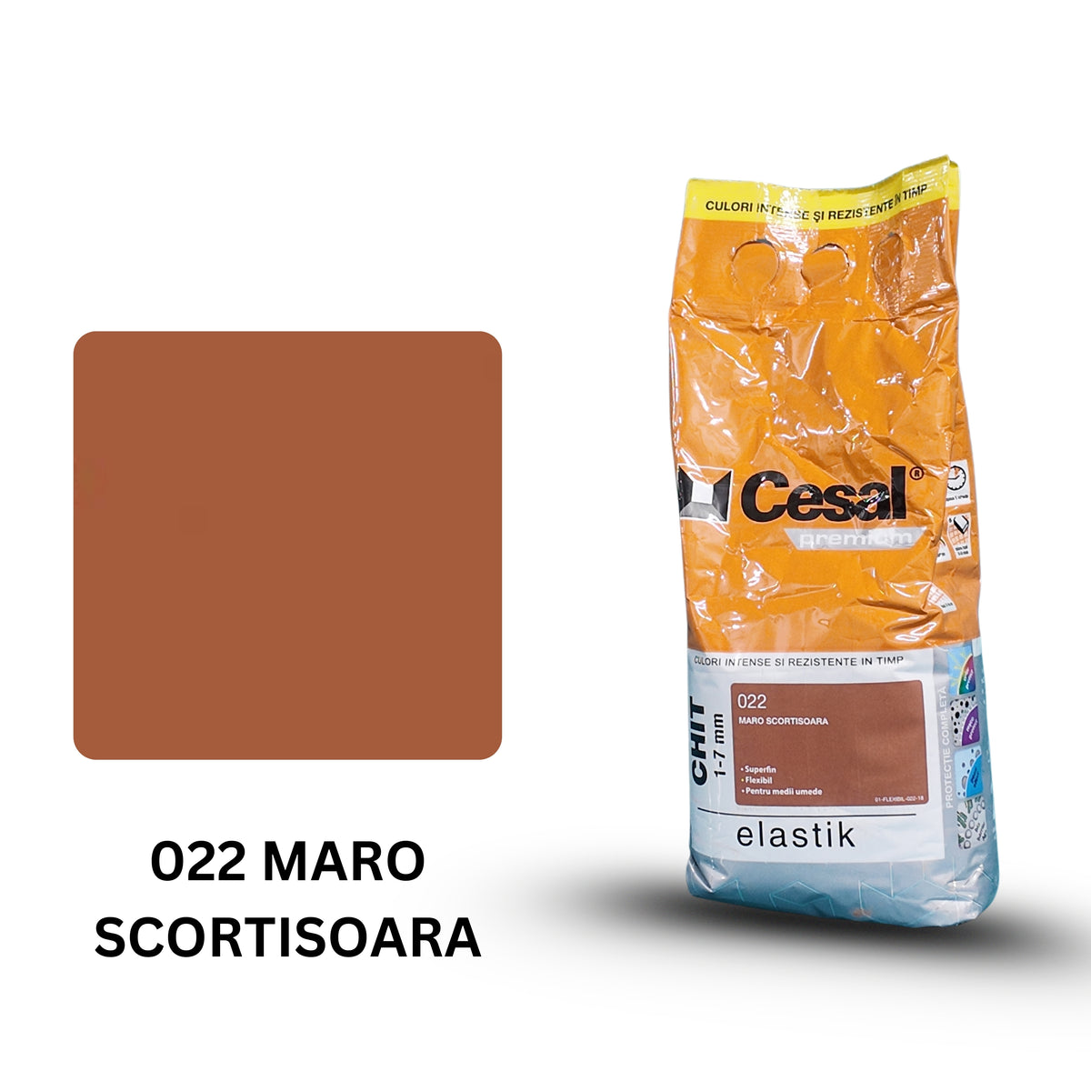 Chit 022 MARO SCORTISOARA
