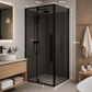 Cabina Dus Sticla 6mm, Fumuriu, 80x100x190cm