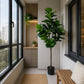 Planta Artificială Copac Tip Ficus, 180 cm, Verde, cu Ghiveci