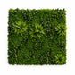 Planta Artificială Panou de Gard Viu Cimișir, 100 x 100 cm, Verde