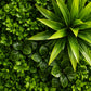 Planta Artificială Panou de Gard Viu Cimișir, 100 x 100 cm, Verde