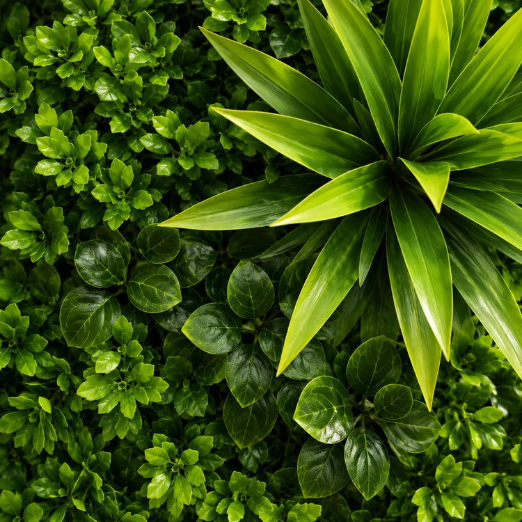 Planta Artificială Panou de Gard Viu Cimișir, 100 x 100 cm, Verde