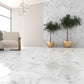 GRESIE BIANCO CARRARA 60x120 1.44