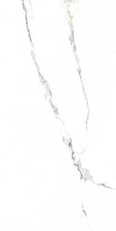 G.CALACATTA ORO 60X120 1.44