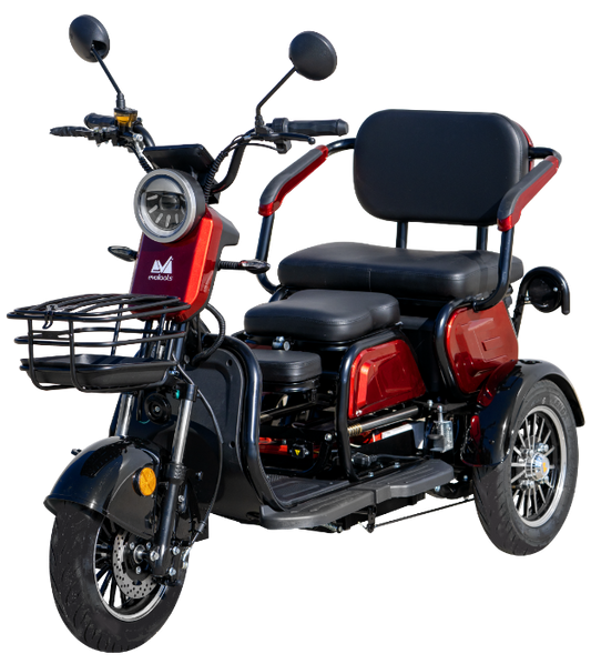 Triciclu Electric Persoane Davos TRP1000